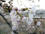 080324a.jpg