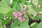 080712A.jpg