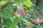 080712B.jpg
