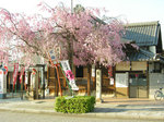 090409c.jpg