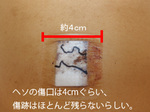 110219e.jpg