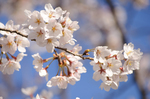 110414_b.jpg