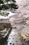 110414_c.jpg
