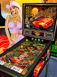 pinball_top.jpg
