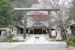 torii.jpg